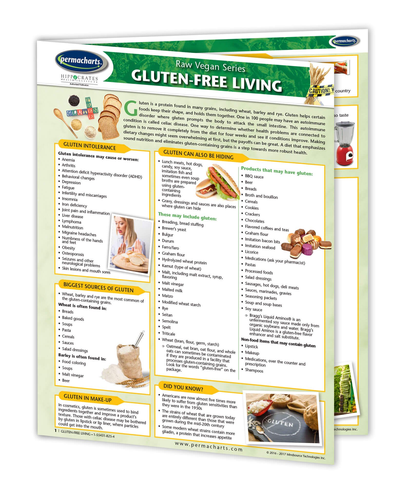 Gluten Free Diet Guide